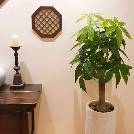 명균관에서는 멀어서 방문이 힘든 분들을 위해 전화 사주도 봐드립니다.