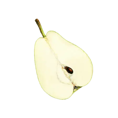 명균관 블로그 글의 소제목아이콘으로 쓸 배의 일러스트