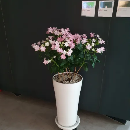 명균관 내부의 편안한 느낌의 화분 사진 